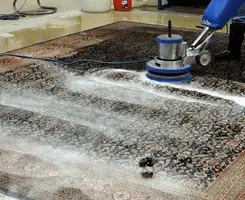 Professional rug cleaning with a rotary floor machine and shampoo foam, deep-cleaning an area rug, in Dallas, TX.