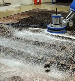 Professional rug cleaning with a rotary floor machine and shampoo foam, deep-cleaning an area rug Dallas, TX.